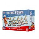 Blood Bowl : Kara Temple Harpies : Amazon Team